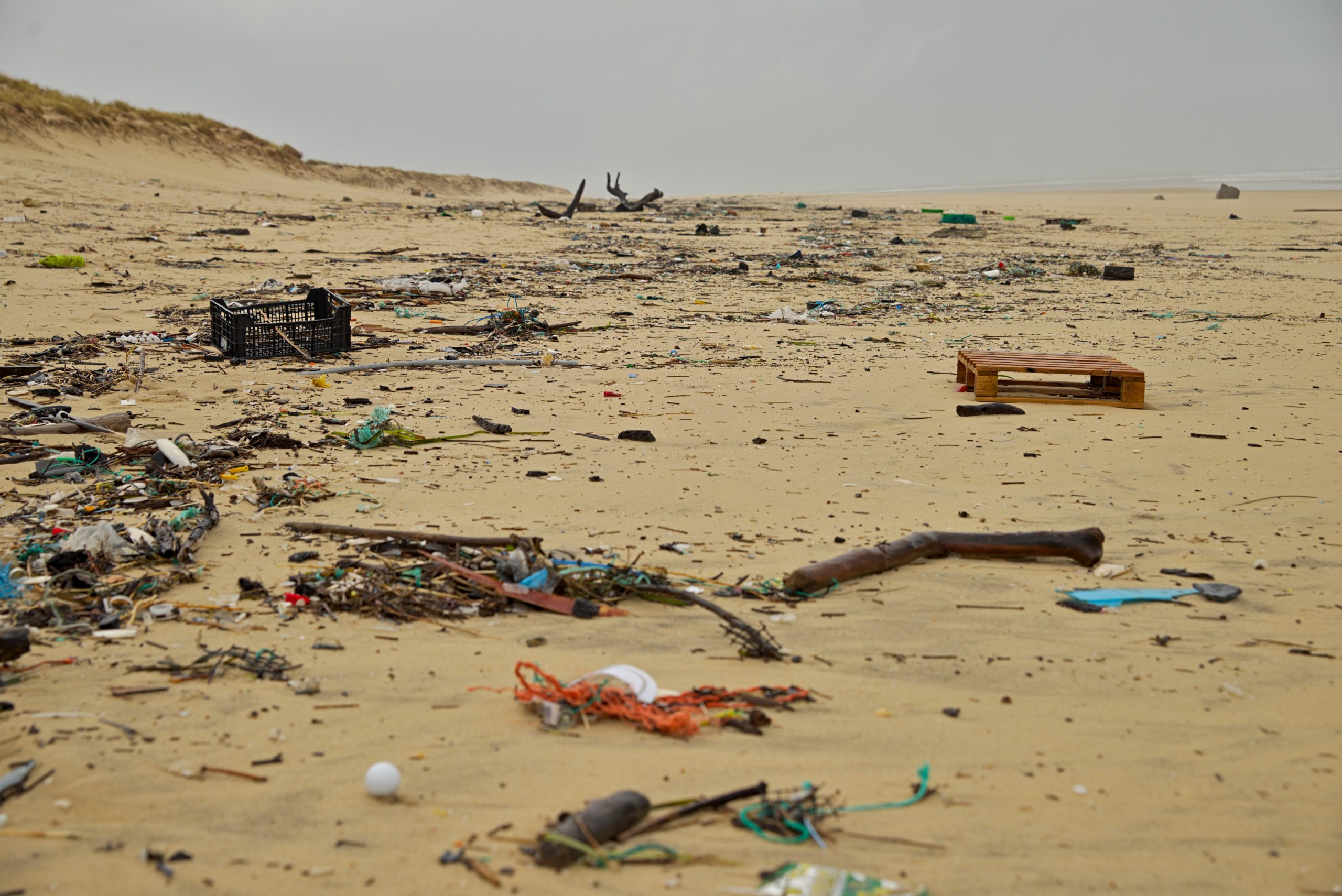 playa repleta de residuos plásticos